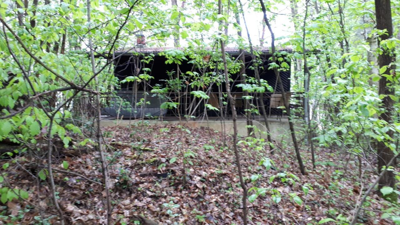 Waldhaus Wiesengrund Schwielochsee Exterior photo